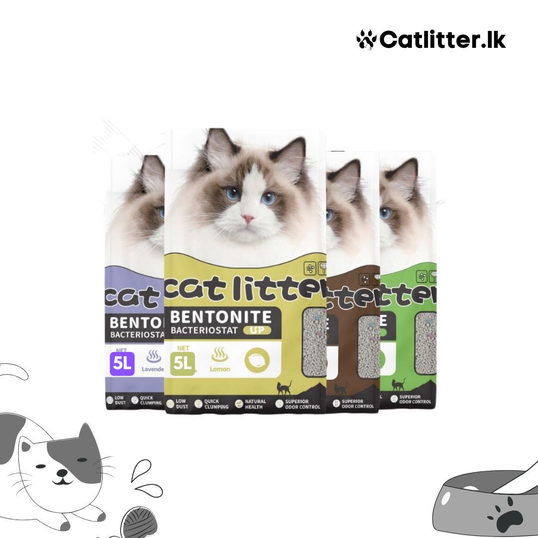 Mini Cat Bentonite Cat Litter 5L/4kg