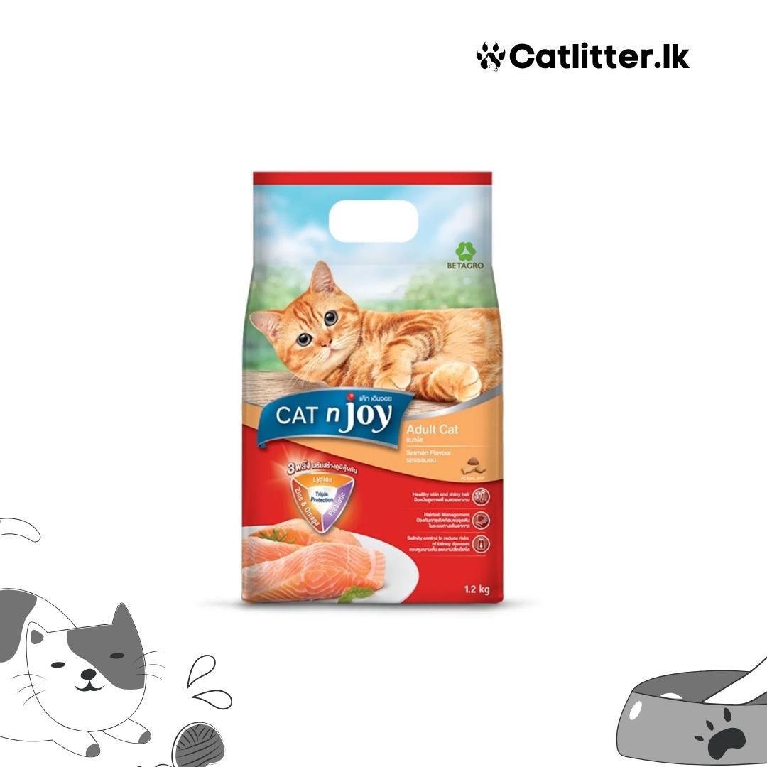 CAT n joy Adult Salmon Fish Flavor