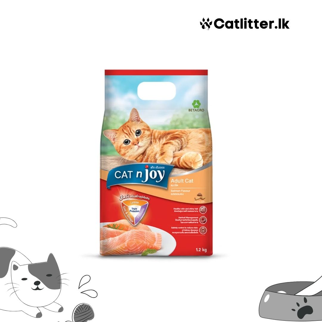 CAT n joy Adult Salmon Fish Flavor