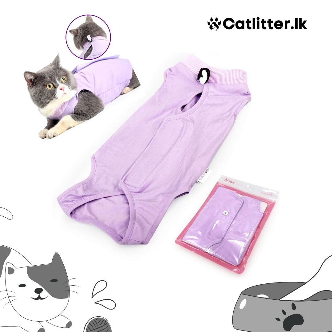 Cat Recovery Suit for Abdominal Wounds or Skin Diseases
