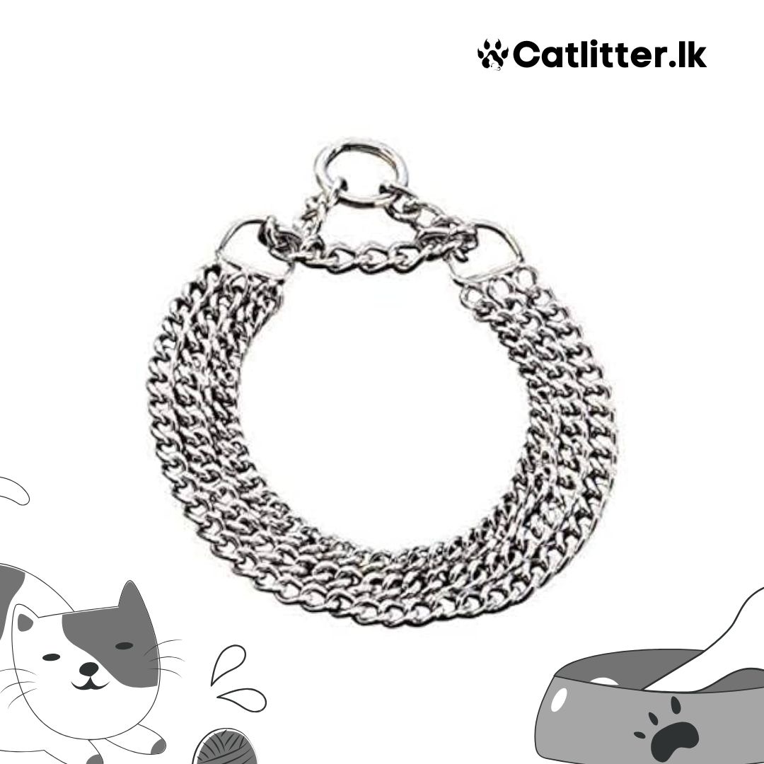 Dog Stainless Steel Chocker Chain