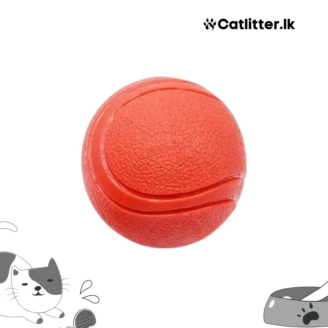 Hard Rubber Balls for Dogs (L)