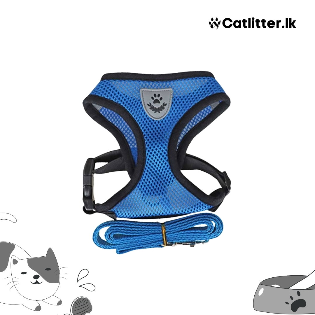 Harness Kit With Leash For Cats