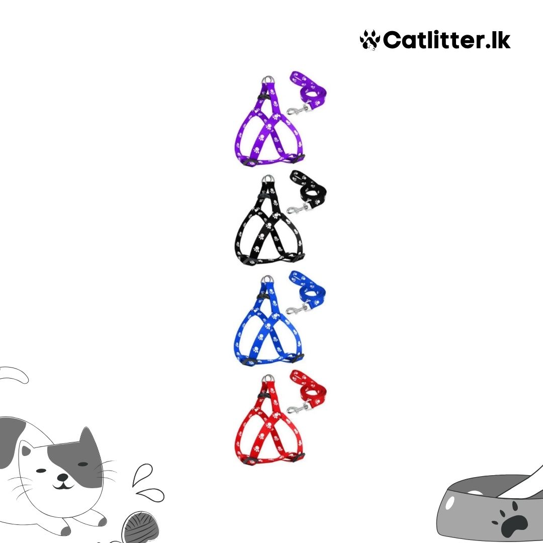 Paw Print Small Harness and Leash