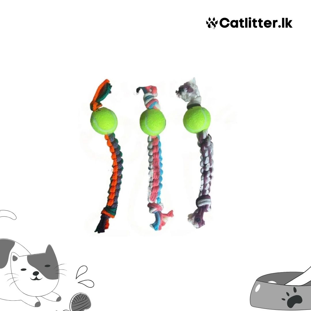 Playing Ball Toy For Dogs