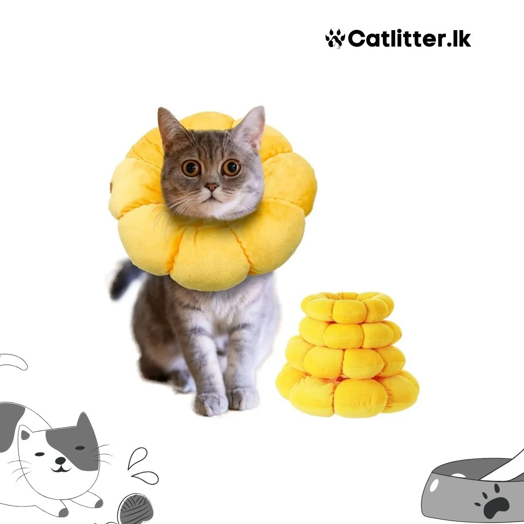 SunFlower Collar for Cats & Dogs
