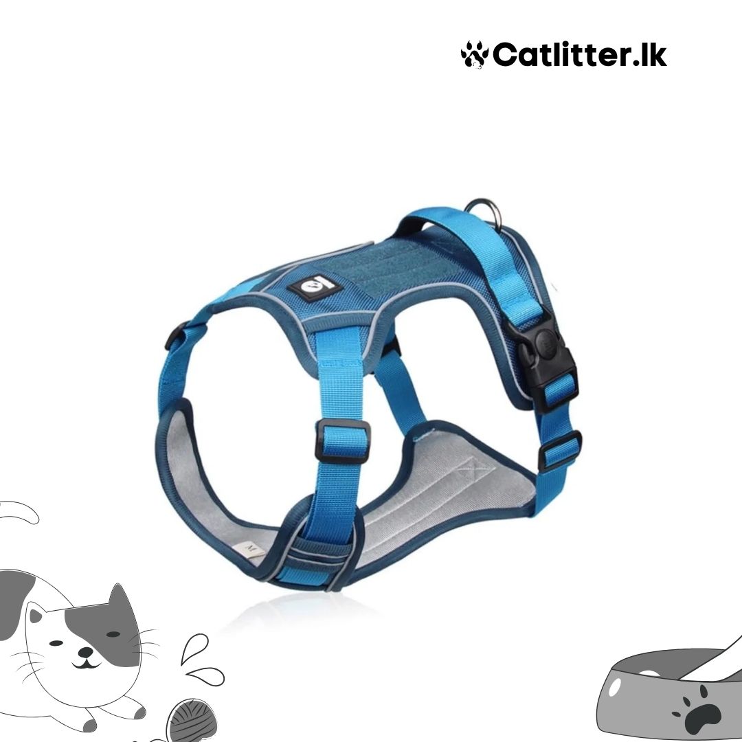 WONDER DOG Duomm Dog Harness