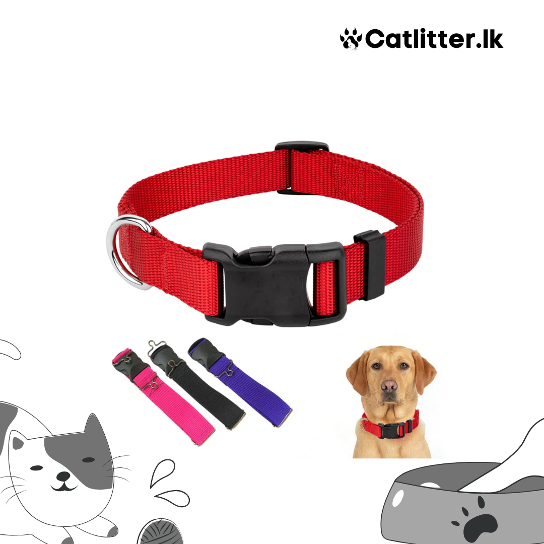 Adjustable Dog Collar