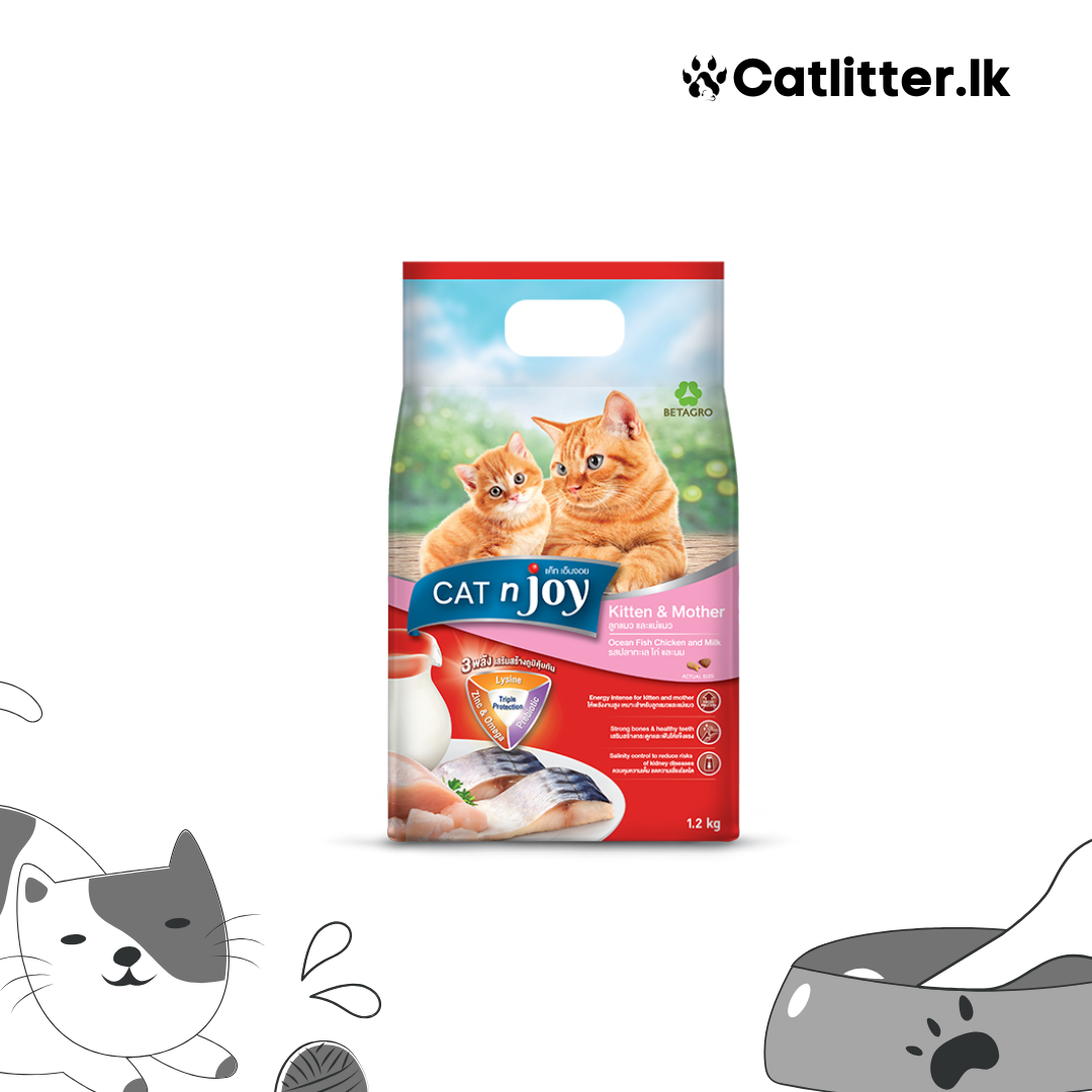 CAT n joy Kitten and Mother Ocean Fish Chicken and Milk Flavour
