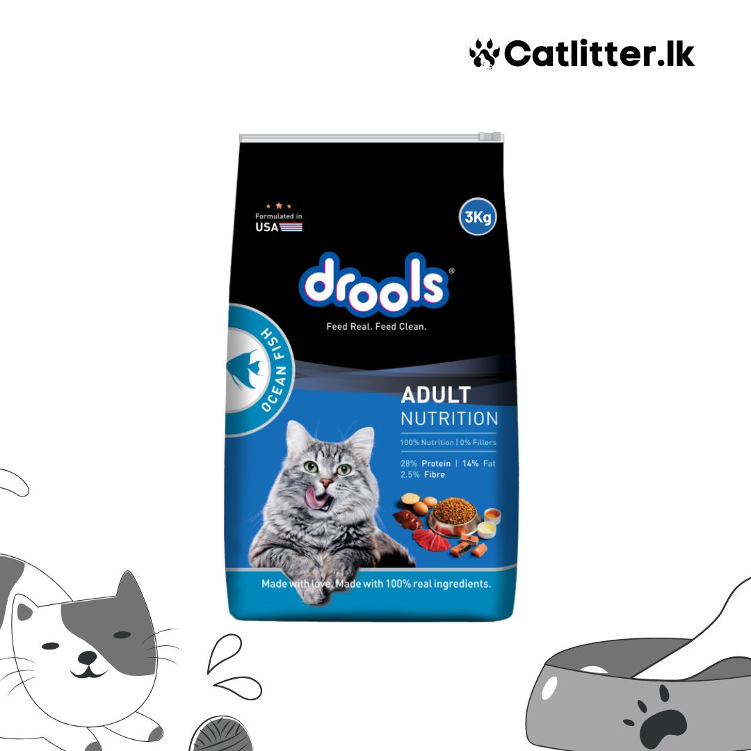 Drools Dry Food For Adult Cat - Ocean Fish