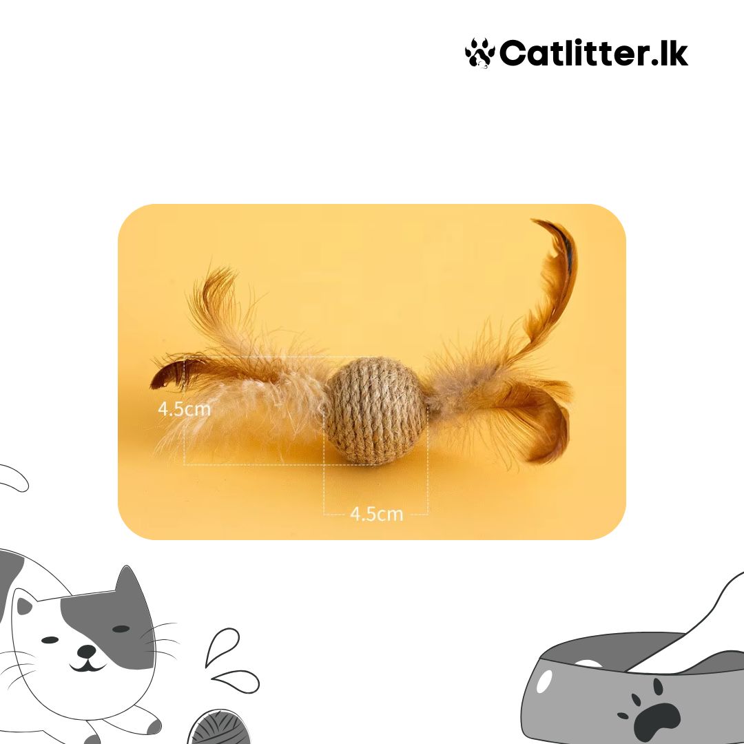 Feathered Cat Toys
