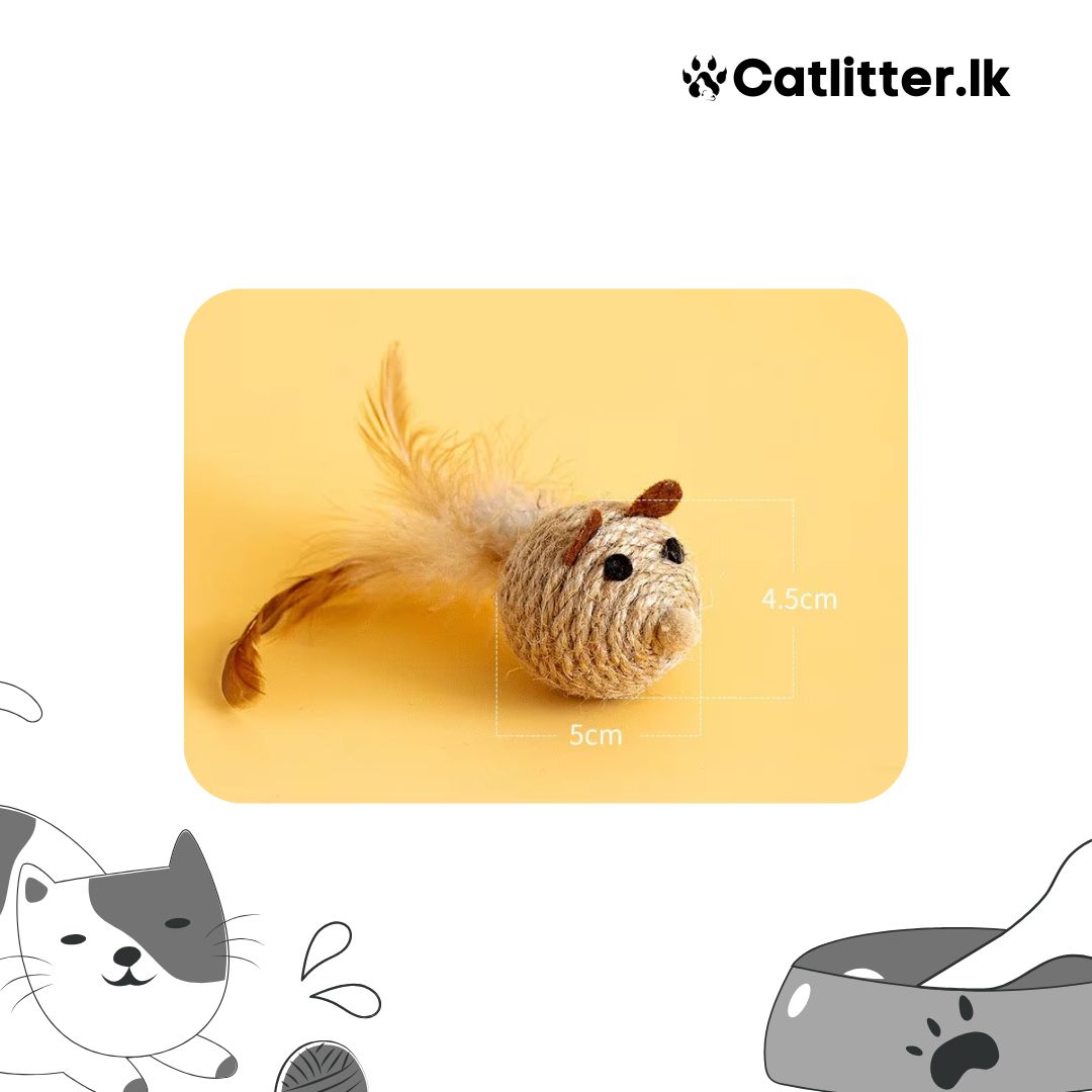 Feathered Cat Toys