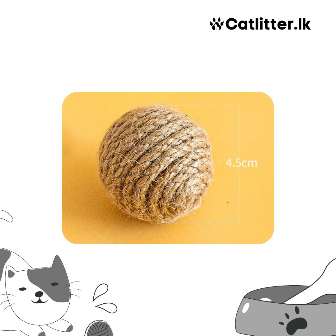 Feathered Cat Toys