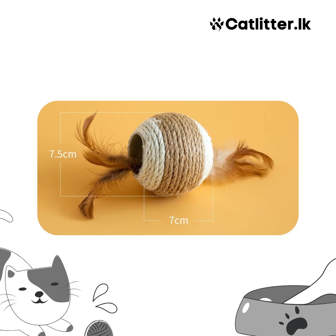 Feathered Cat Toys