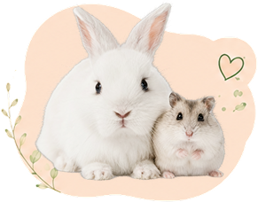 Rabbit & Hamster