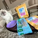 Photo from Rizna Kaleel's review
