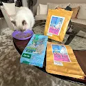 Photo from Rizna Kaleel's review