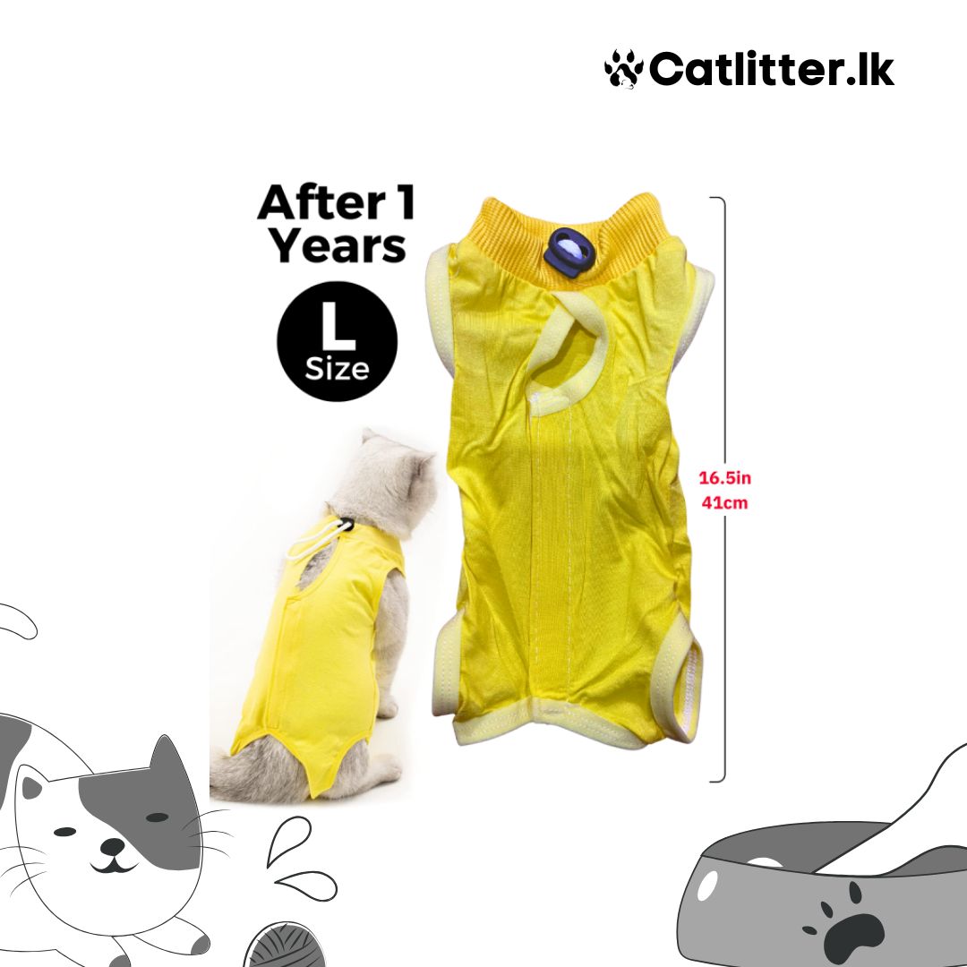 Cat Recovery Suit for Abdominal Wounds or Skin Diseases