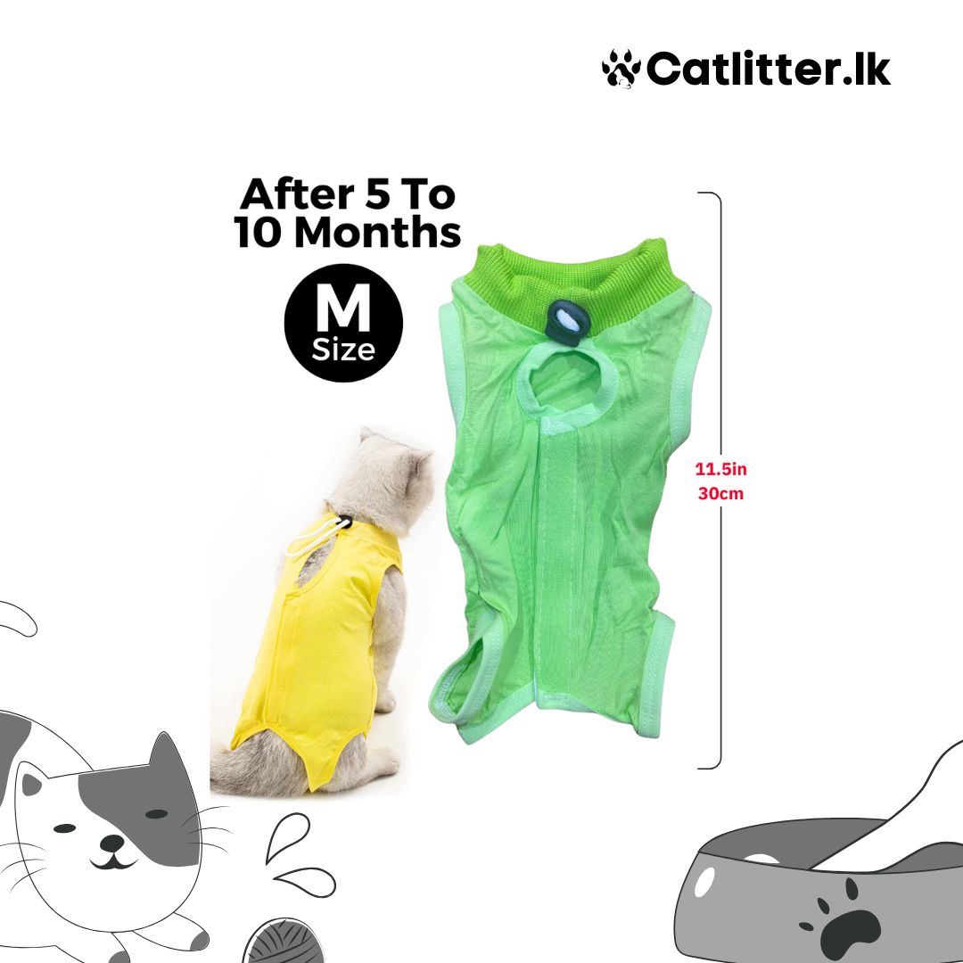 Cat Recovery Suit for Abdominal Wounds or Skin Diseases