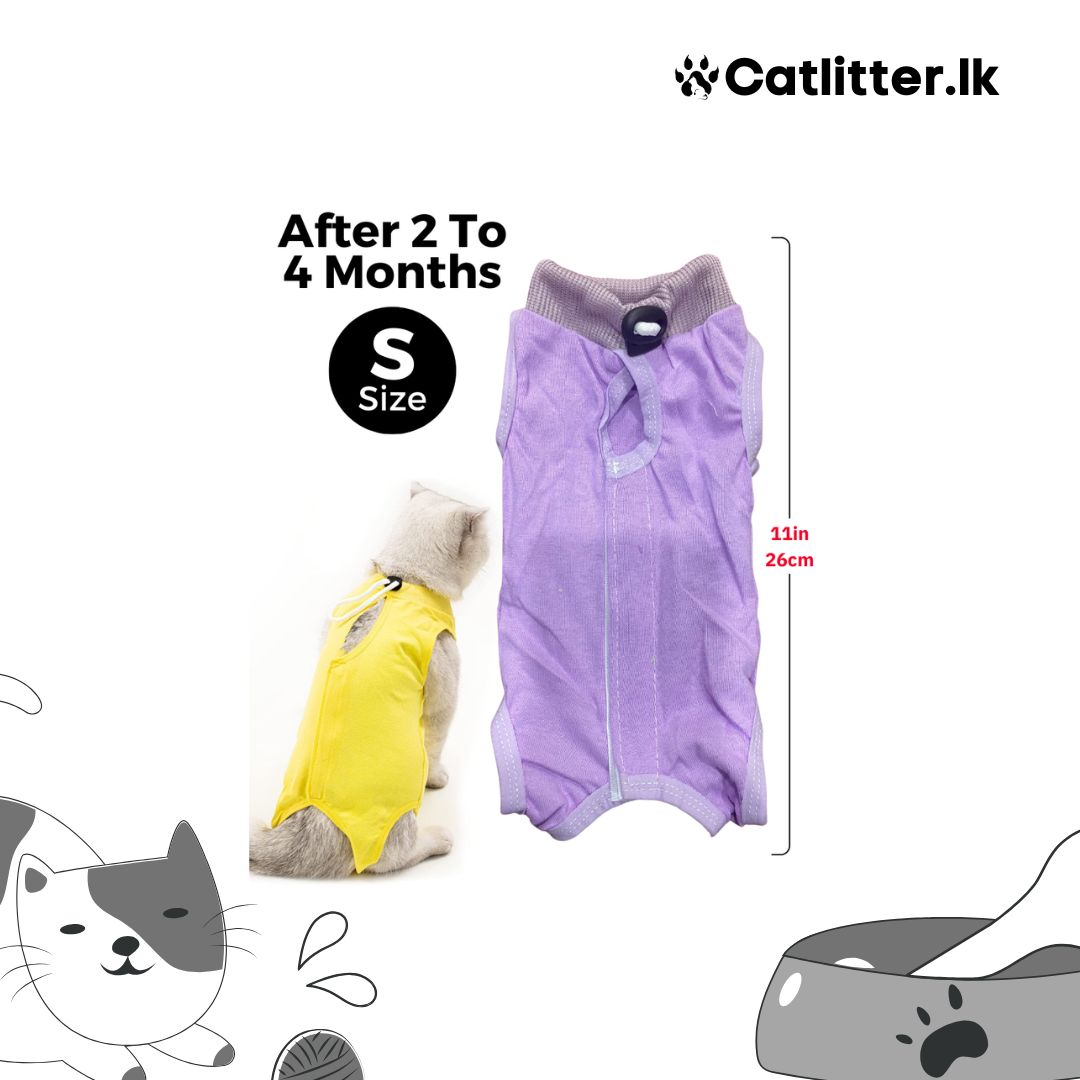 Cat Recovery Suit for Abdominal Wounds or Skin Diseases
