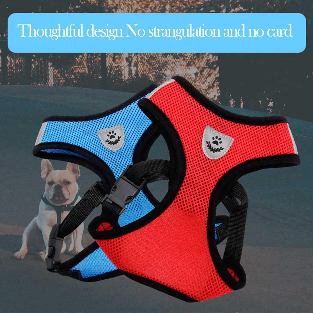 Harness Kit With Leash For Cats