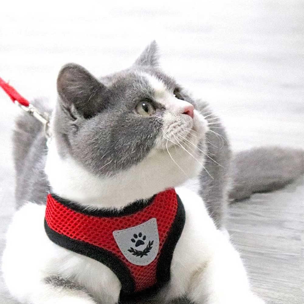 Harness Kit With Leash For Cats