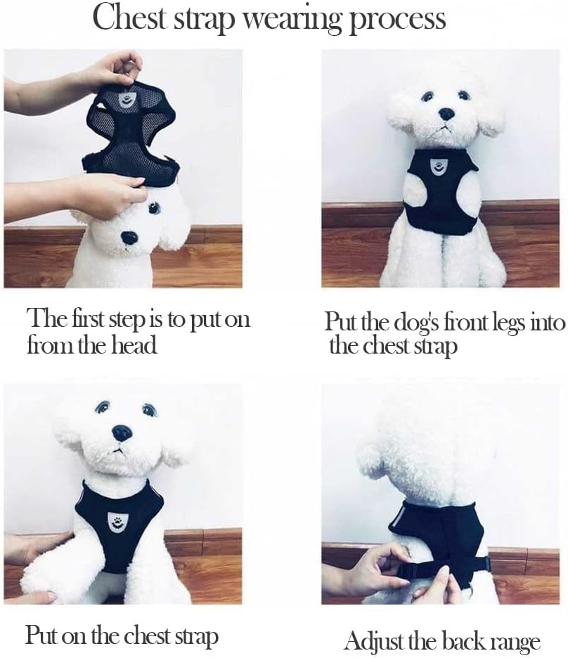 Harness Kit With Leash For Cats