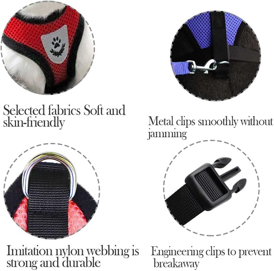 Harness Kit With Leash For Cats