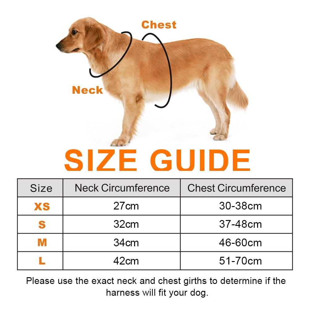 Harness Kit With Leash For Cats
