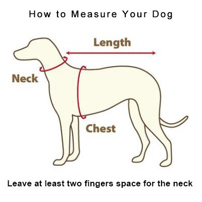 Harness Kit With Leash For Cats