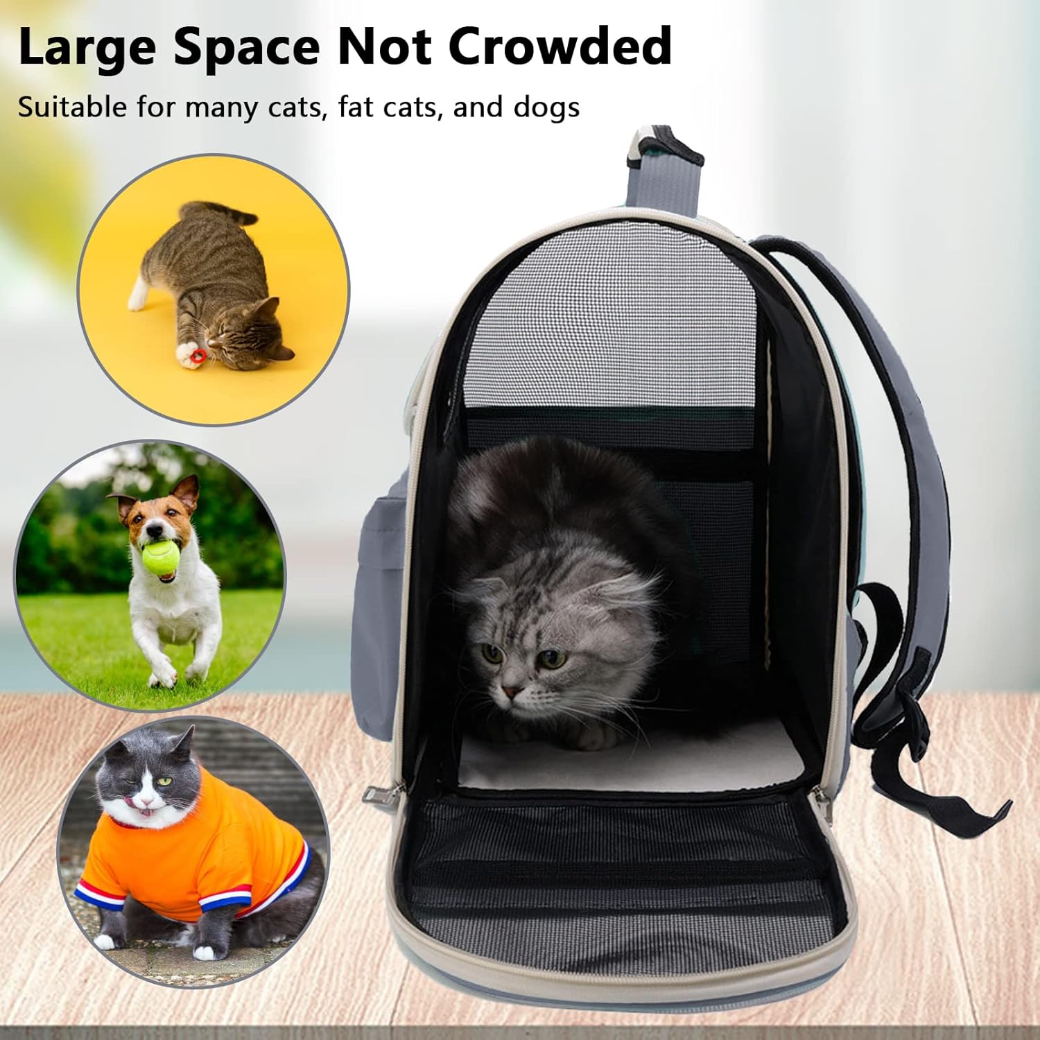 Hello Cat Backpack Carrier