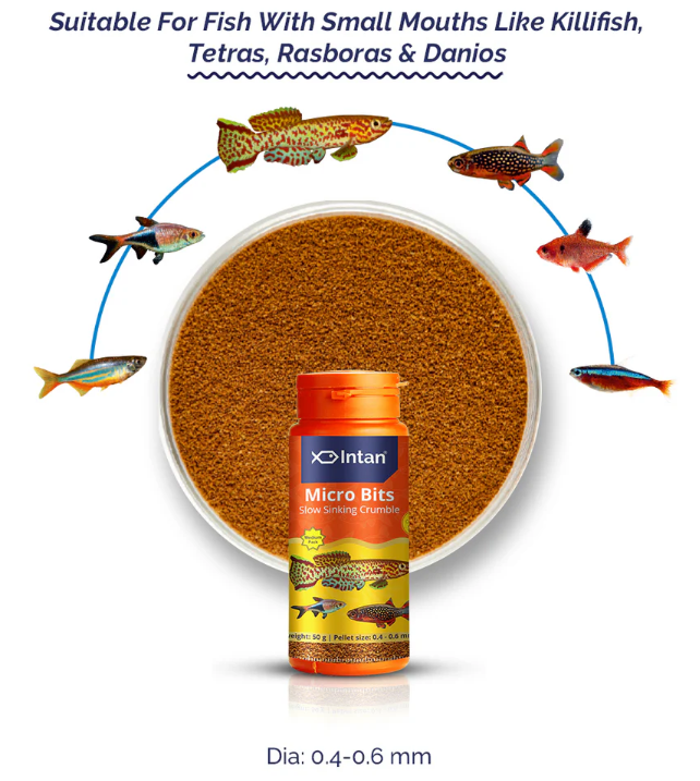 Intan Micro Bits - Slow Sinking Fish Food 50G
