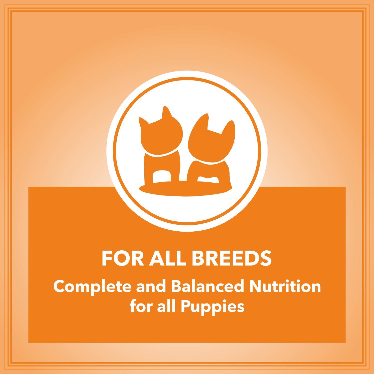 Let's Bite Active Puppy Food