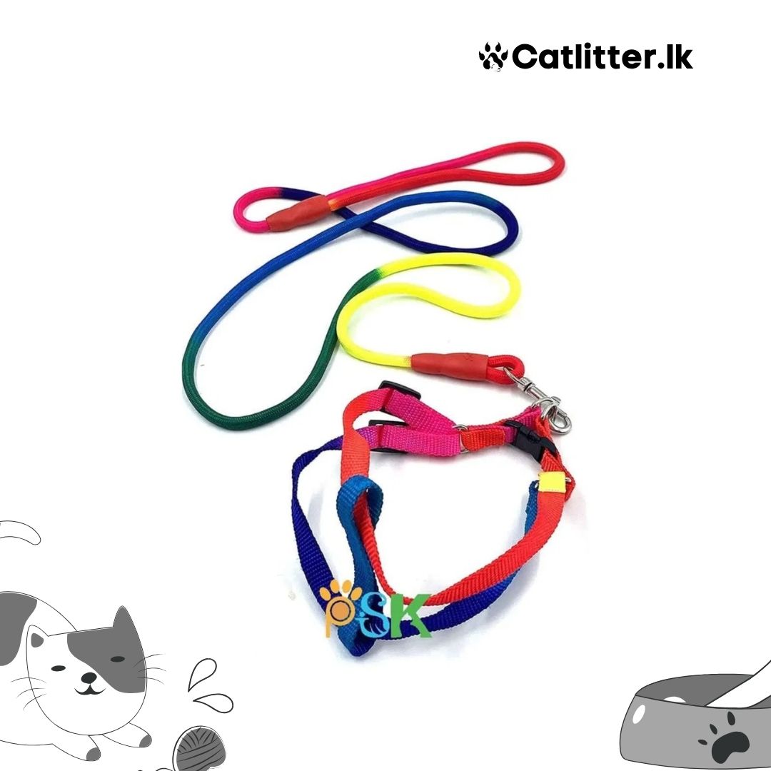 Multi colour Leash with Harness For Pets