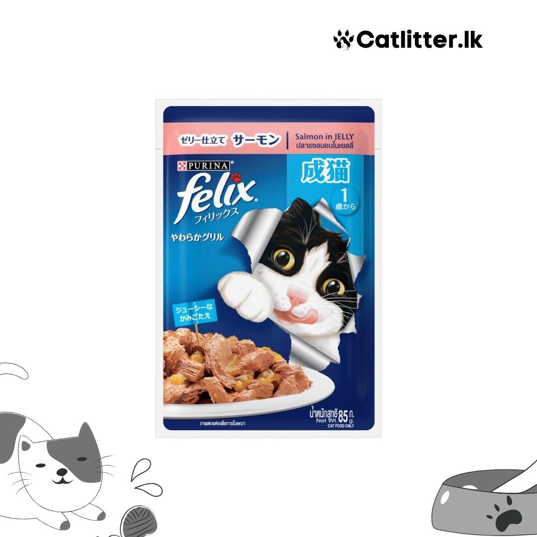 Purina Felix Adult Cat Wet Food