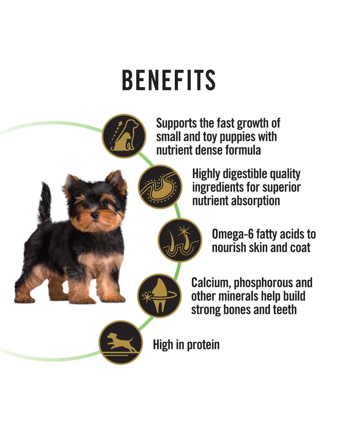 Purina Pro Plan Small & Toy Puppy Dry Food 2.5kg