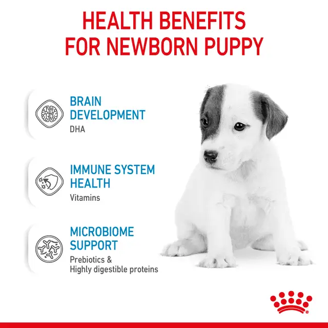 Royal Canin Baby Dog Milk Powder 400g