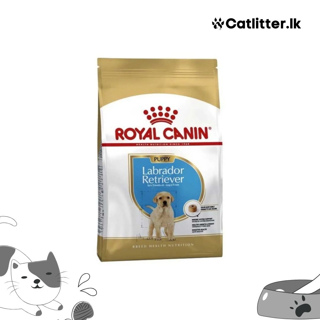 Royal Canin Labrador Retriever Puppy Dog Food