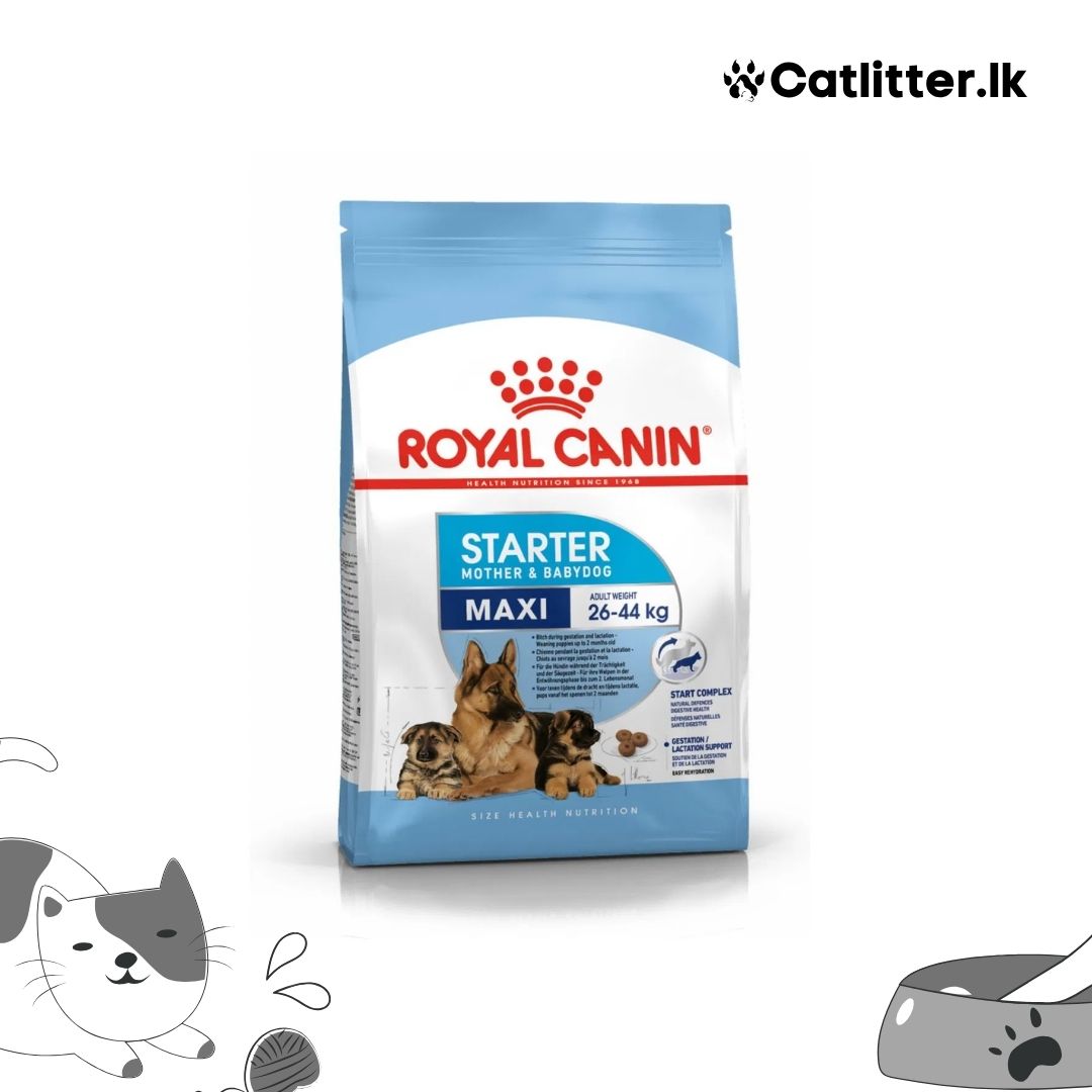 Royal Canin Maxi Starter Mother Baby Dog Food