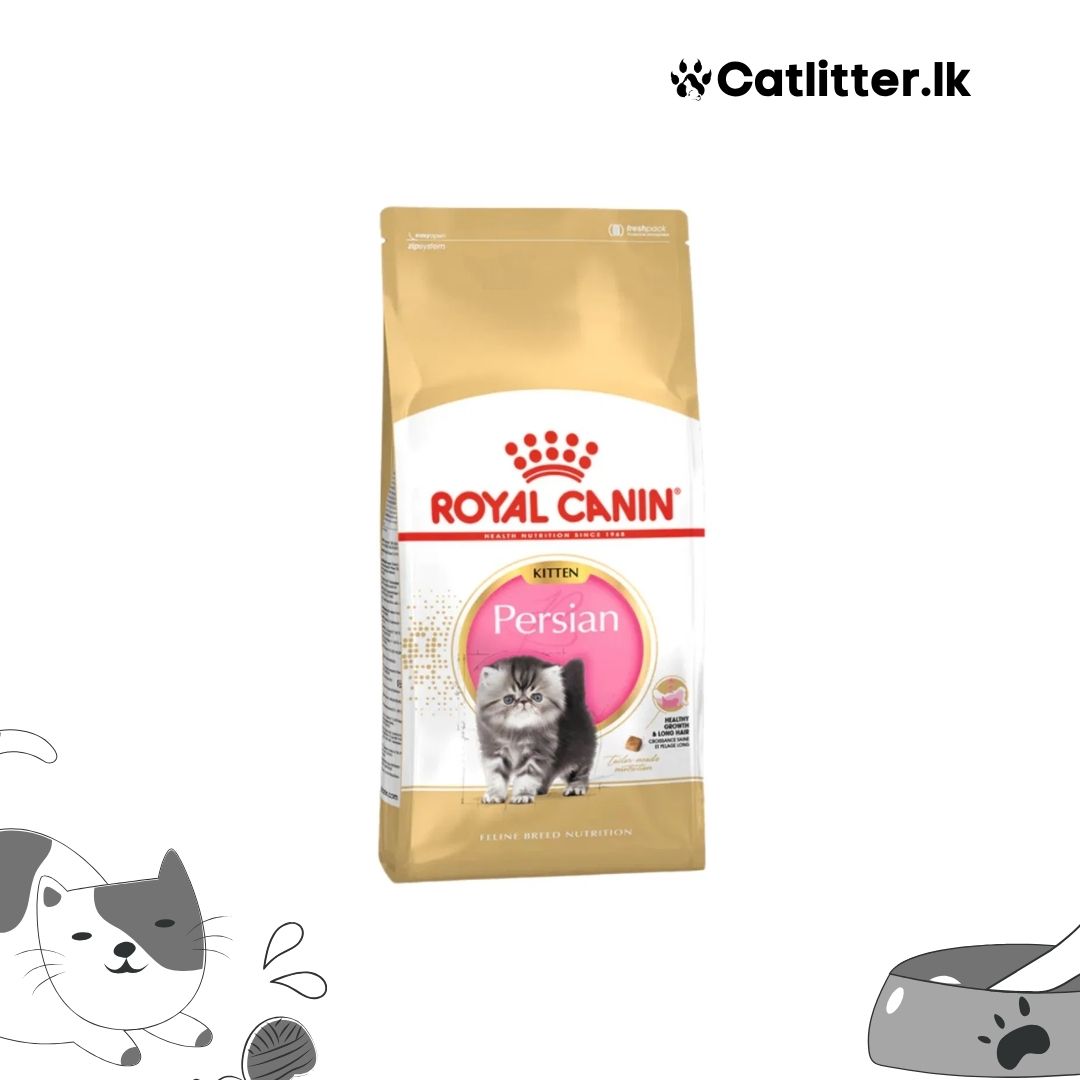 Royal Canin Persian Kitten Dry Food