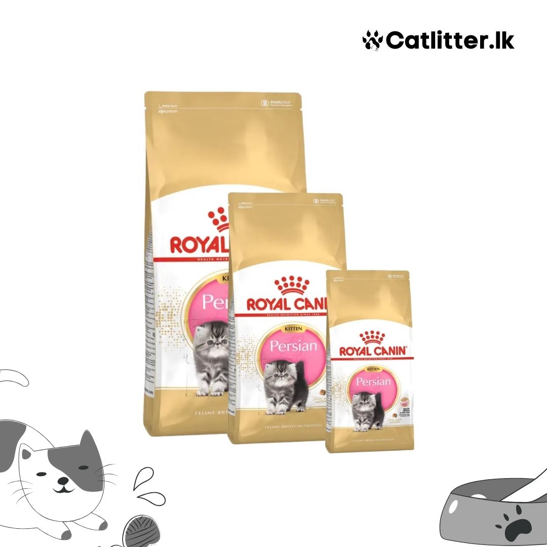 Royal Canin Persian Kitten Dry Food