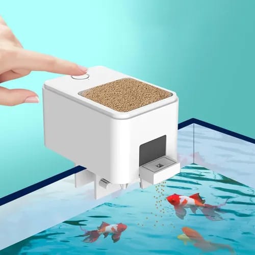 Smart Fish Feeder