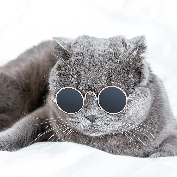 Sunglass For Cats & Dogs
