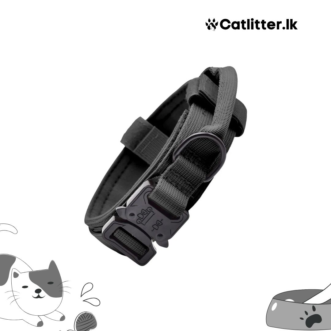 Tactical Nylon Dog Collar