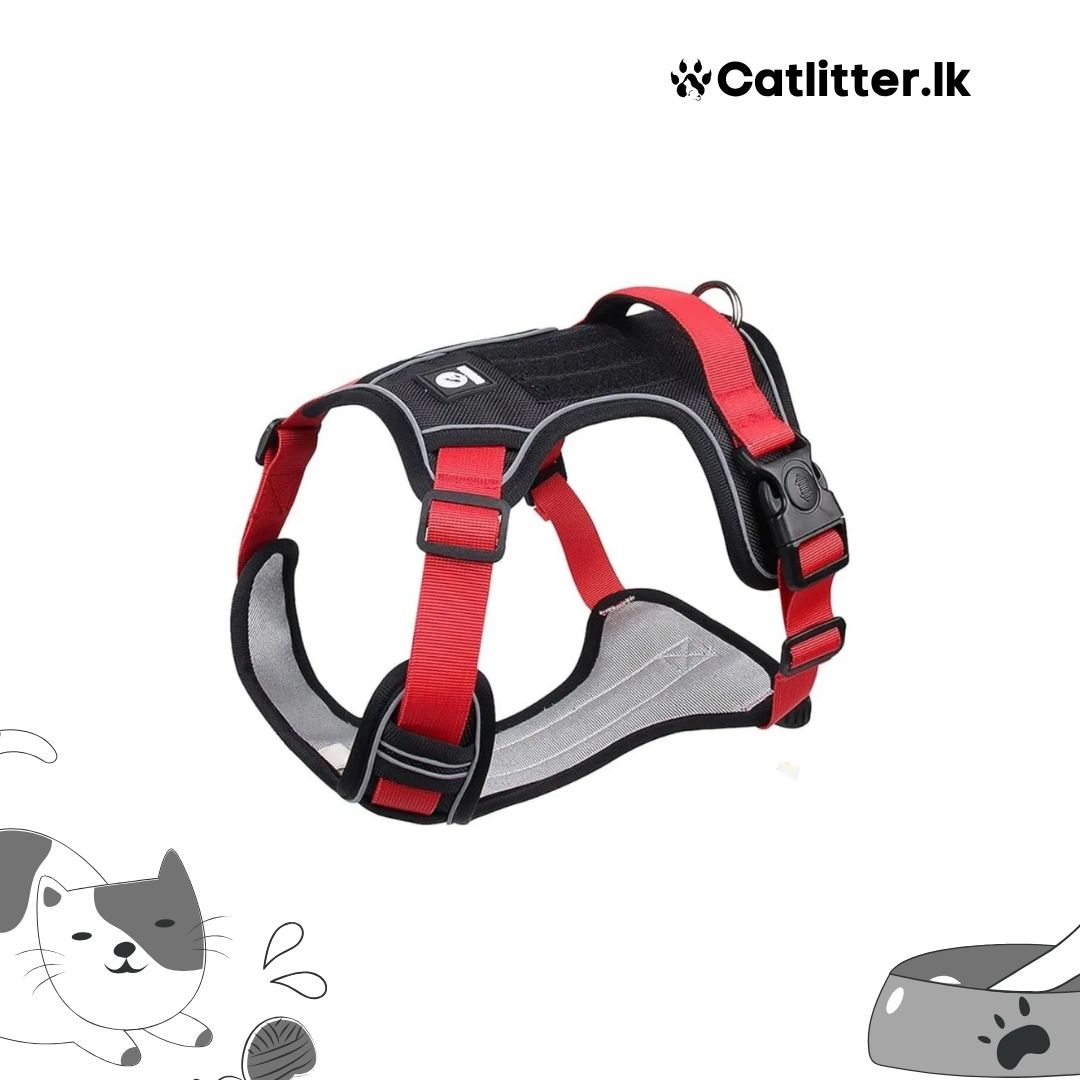 WONDER DOG Duomm Dog Harness