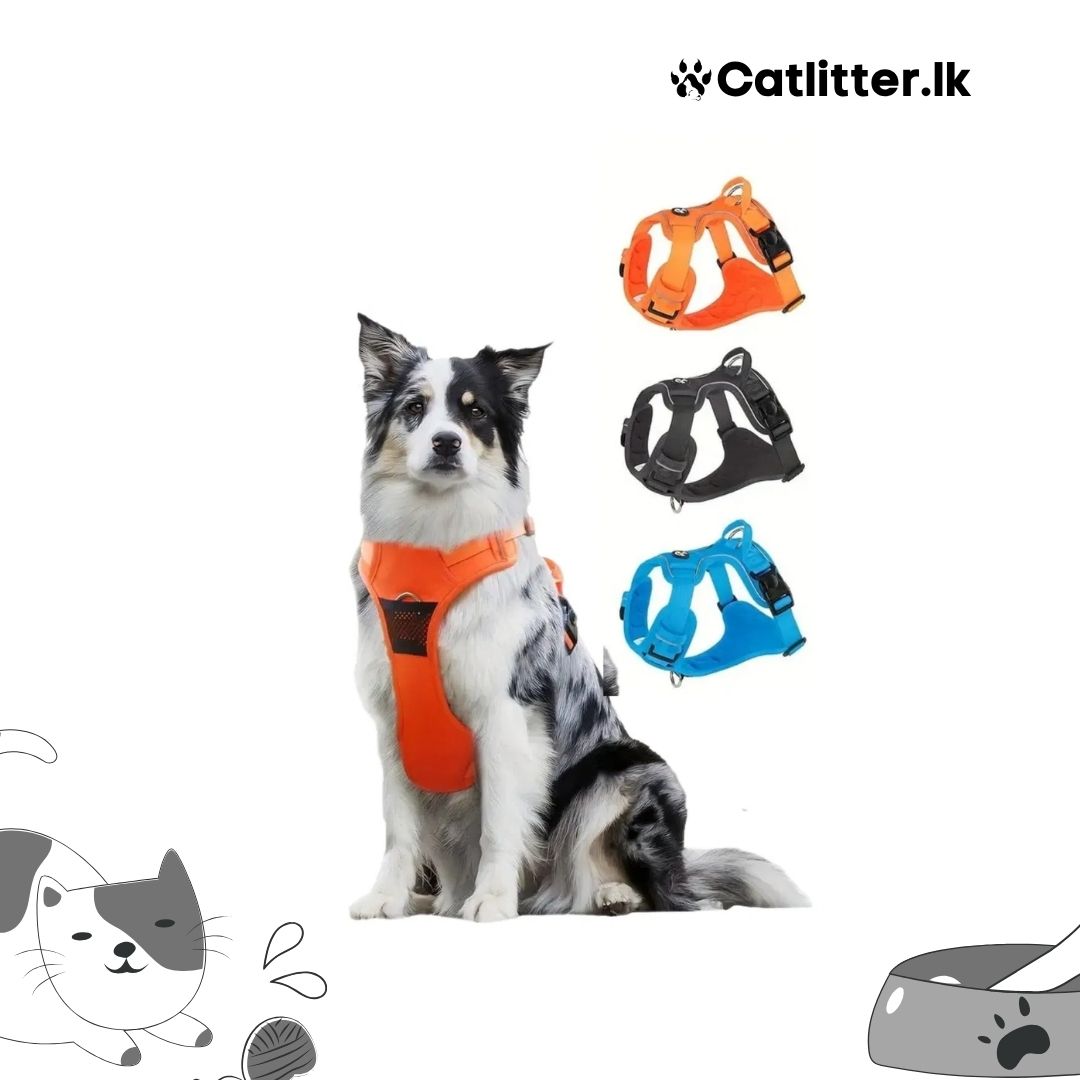 WONDER DOG Duomm Dog Harness