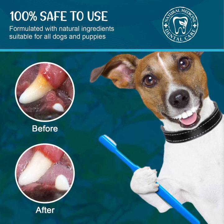 Advanced Pet Dental Care Toothpaste 100g