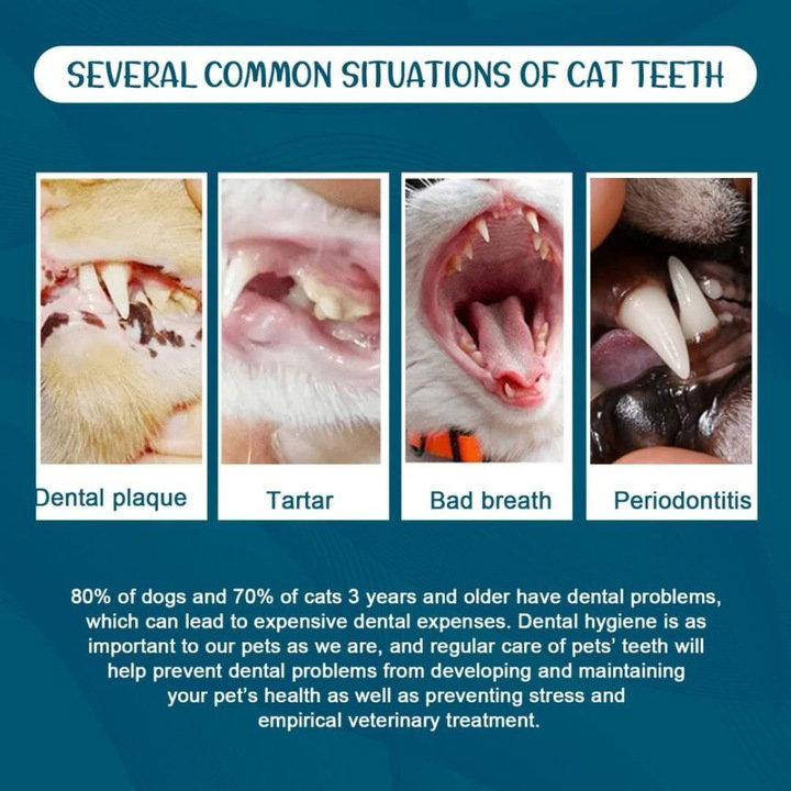 Advanced Pet Dental Care Toothpaste 100g