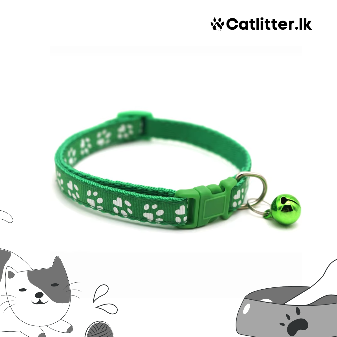 Cat Collar Multi Colour