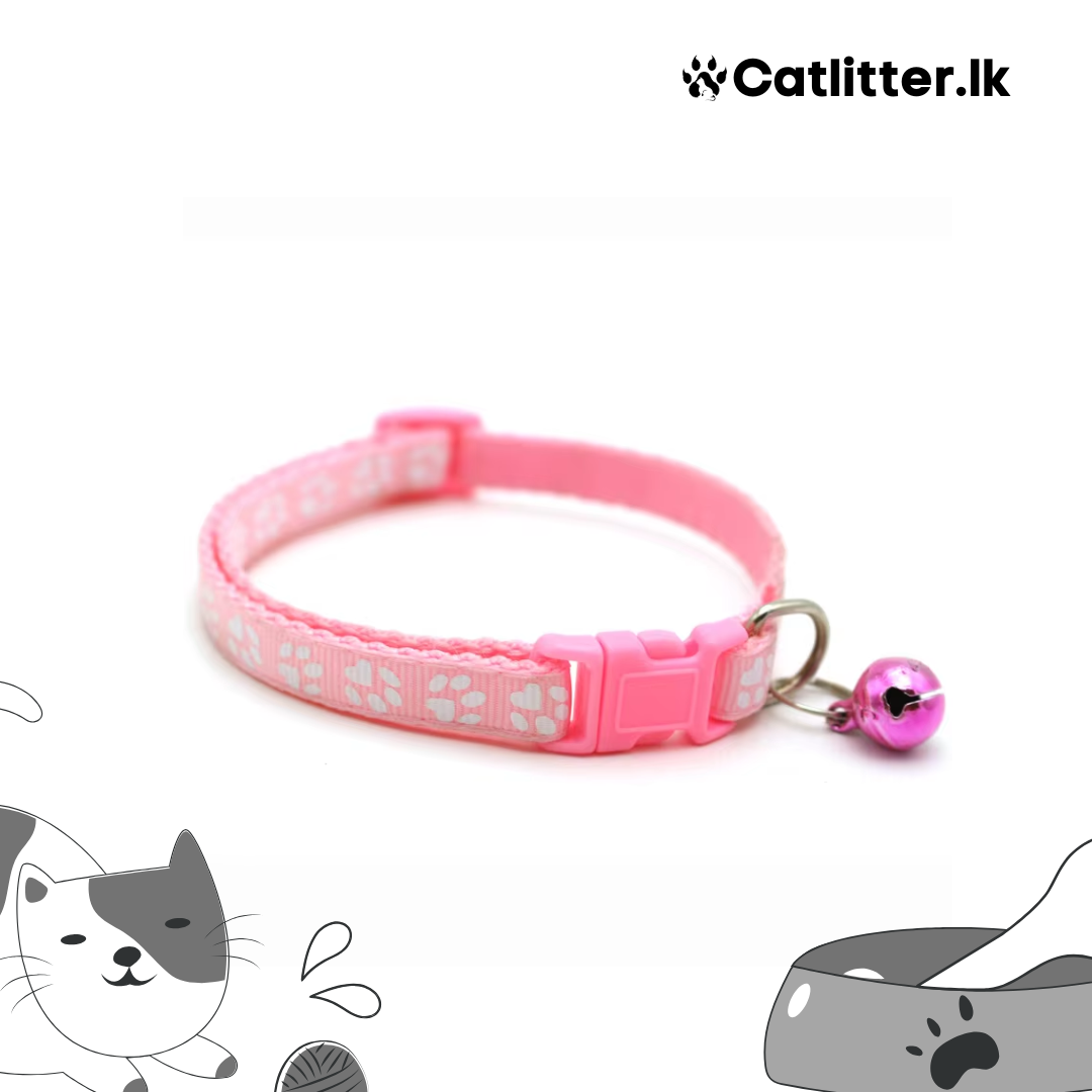 Cat Collar Multi Colour
